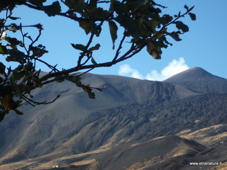 Monte_Pizzillo - 21-10-2012 08-51-19.JPG